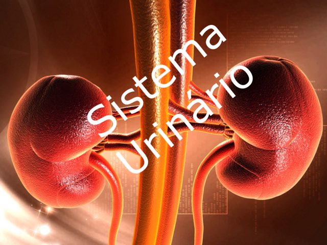 5C URINÁRIO  by Maja Malena Garcia Callegari