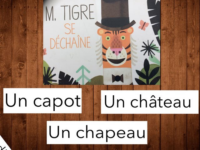 M. Tigre se déchaîne #devinincos by Ecole Puimichel