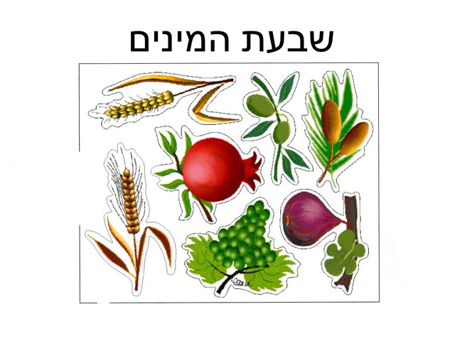 משחק 18 by עדי יוגב