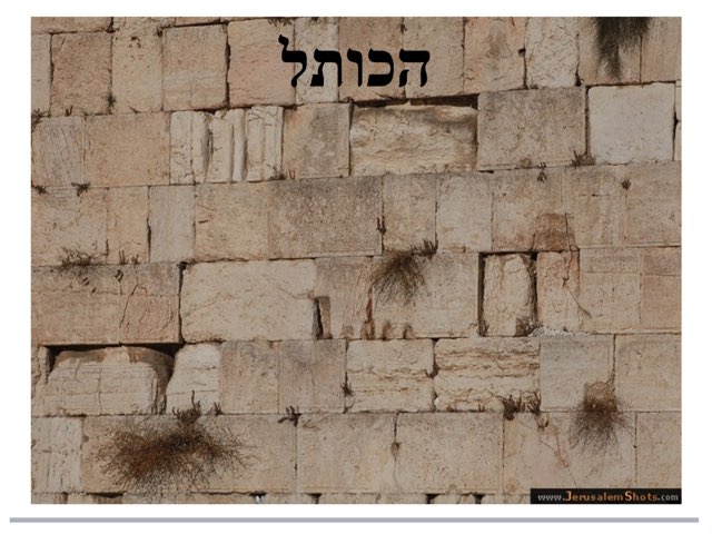 משחק 277 by pink class