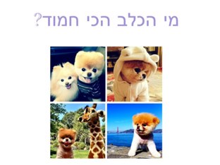 משחק 5 by לופי ג'וט