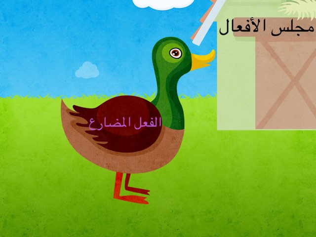 لعبة 12 by Afoo Aa123456