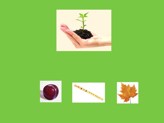 משחק 126 by Nita muttath