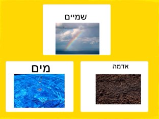 מיון חיות  by טובה שטיינר