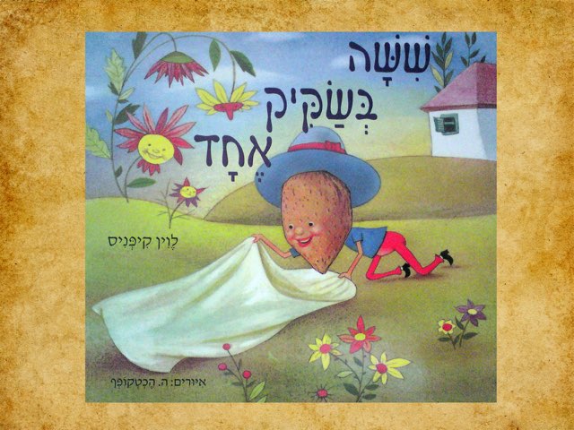 שישה בשקיק אחד by איילת בן צור