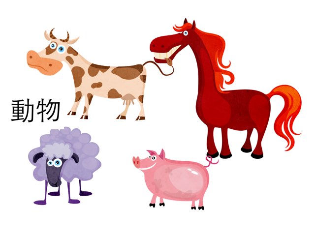 動物 by Cecilia Chan