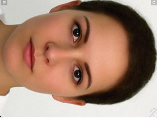 שאלות איברי פנים בסיסיים by Sapir Ke