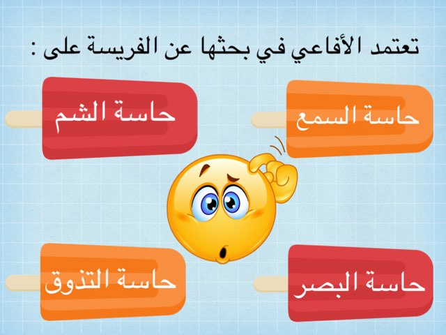 السنجاب الذكي by ahood alharbi