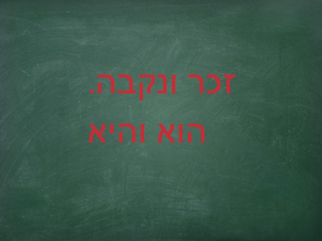 מיון לזכר ונקבה by Drorit lazar