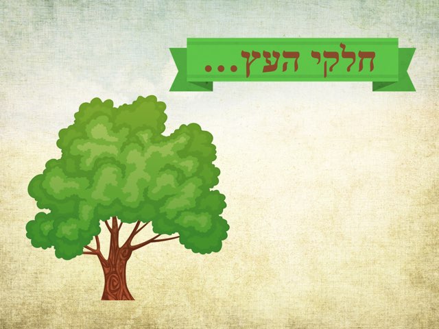 חלקי העץ by קמיל צרויה