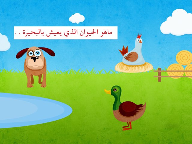 الحيوانات by S. alhaddad