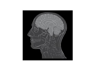 ש בסוף מילה by ורדה לביא