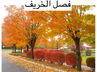 فصل الخريف by Hadool KJ