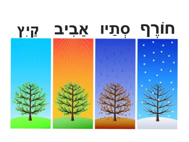 עונות  by Morah Wilma