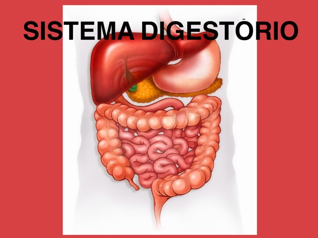5B DIGESTÓRIO  by Maja Malena Garcia Callegari