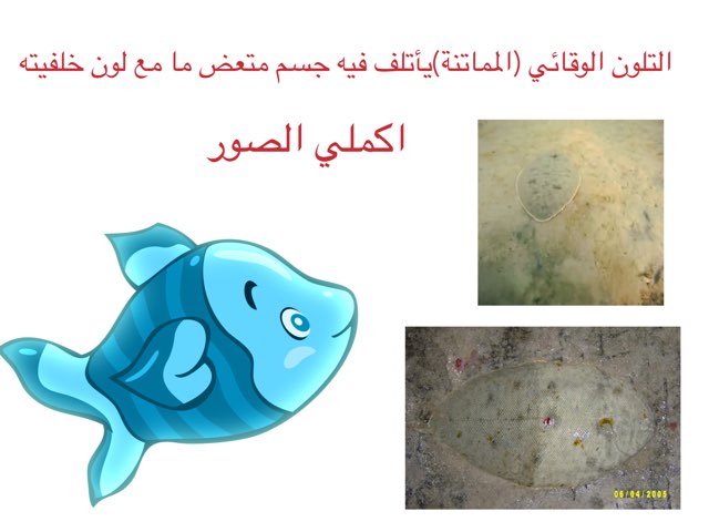 لعبة المماتنة by Ahmad ahmad