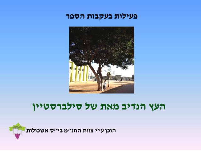 פעילות בעקבות הספר העץ הנדיב by gali bs