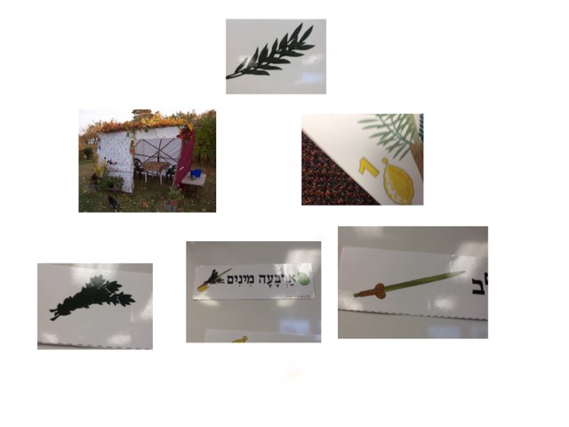 Élan Harris S by Nadine Linton