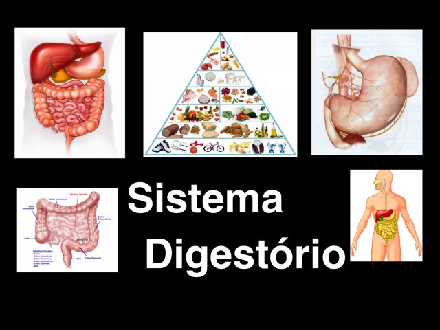 5A DIGESTÓRIO  by Maja Malena Garcia Callegari
