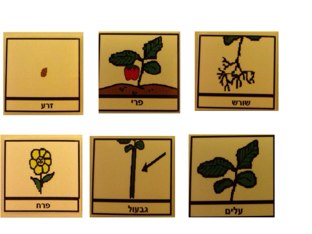 משחק 7 by מיכל ראובן