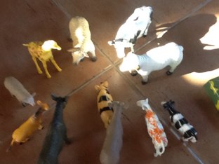 חיות טובות וחיות גנבות by ורדה לביא