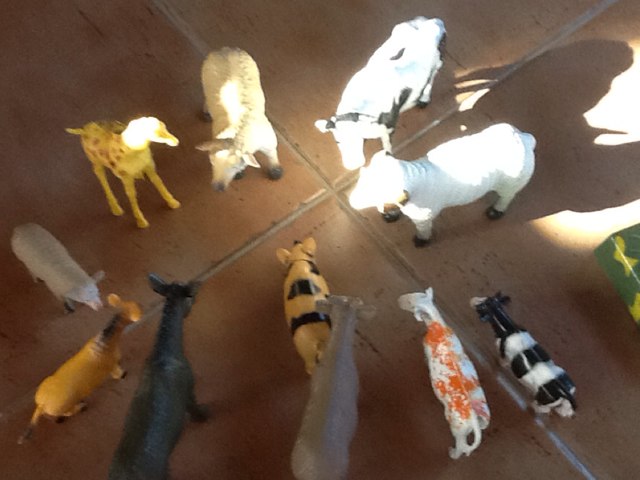 חיות טובות וחיות גנבות by ורדה לביא