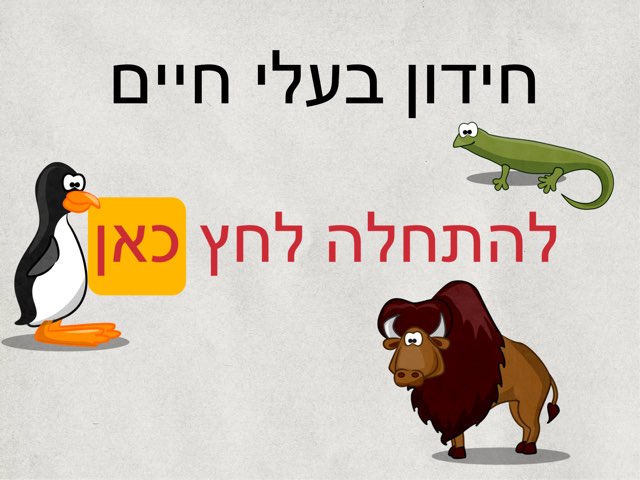 חידון בעלי חיים by rotem indik