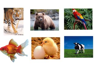 יום שיא by احمد عليان