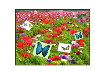 מילוי הוראות קצרות by Orna Ruderman