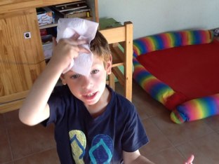 המכה של אשחר by Varda Lavi