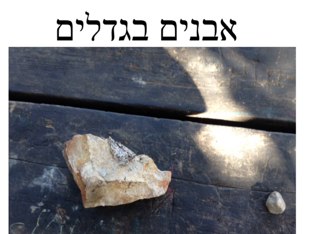 הבדלים בגדלים by Alexander Yakobson