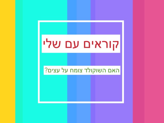 הבנת הנקרא האם השוקולד גדל על עצים by sheli anit