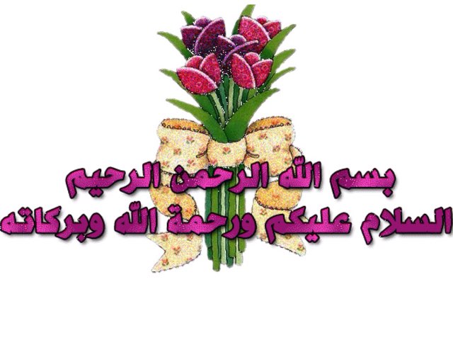 لعبة 74 by soso Katy