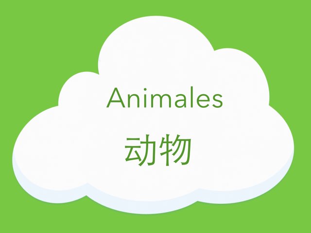 Animals 动物  by Marianella Araya