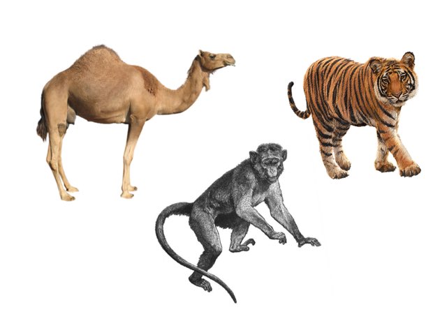 البر by Wala2 fahad