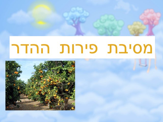 מסיבת פירות ההדר by esty Tzivion