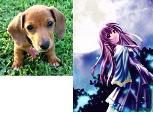 Quebra Cabeças by Julia Cristina Creppas