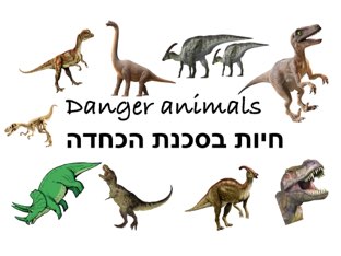 אראל- חיות בסכנת הכחדה by Netaaya Schwartz