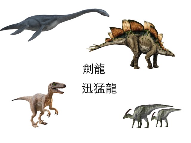 認識恐龍 by Kai-Ho Chan