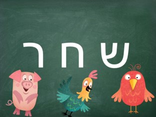 פאזל שחר by Adi Gershon
