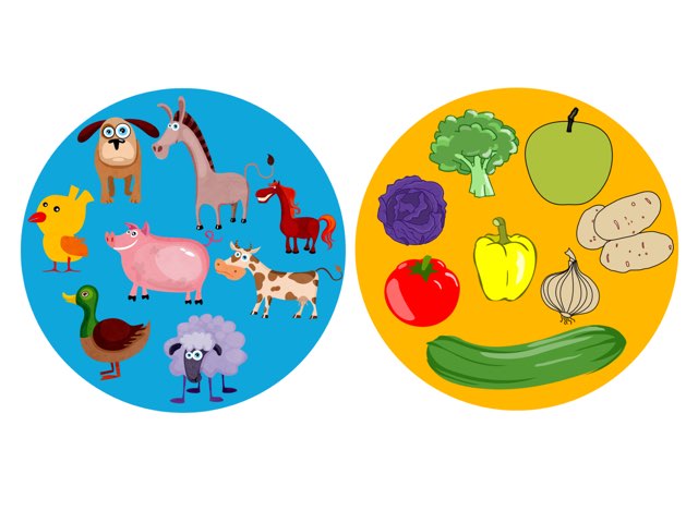 Kategori Ayırt Etme by Imge Bora