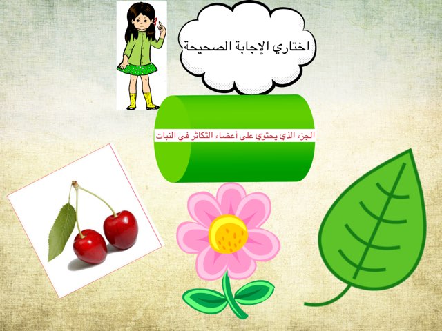 لعبة 278 by Ahmad ahmad