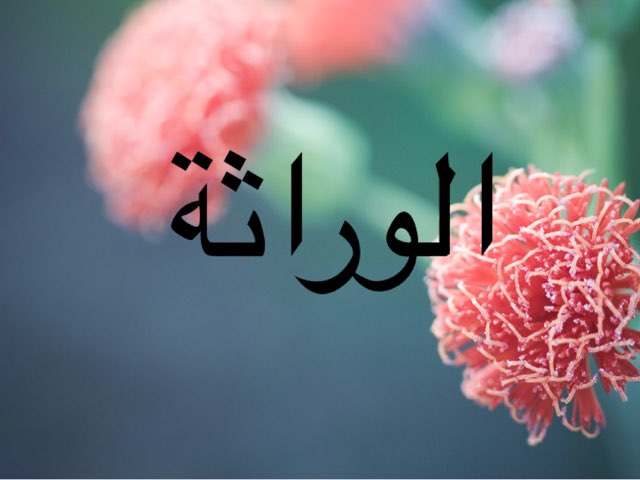 الوراثة by Tasneem Alamora