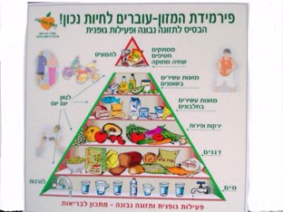 חזרה by Anaelle Gabison