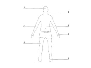 Körperteile  by Dominique Angle