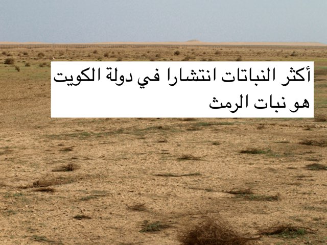 النباتات الطبيعية في بلادي by Maryam alshatti