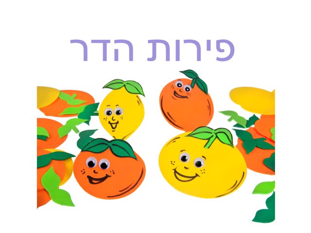 פירות הדר by סופיה גל