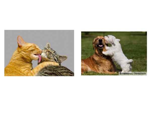 מבדק משפט פשוט by Sapir Ke