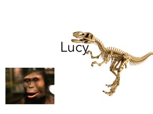 משחק 25 by Ofek Rimon