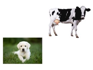 משחק 72 by Sigal Bercovici Oren